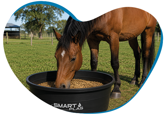 Aplicaciones de los bebederos Smart Plas